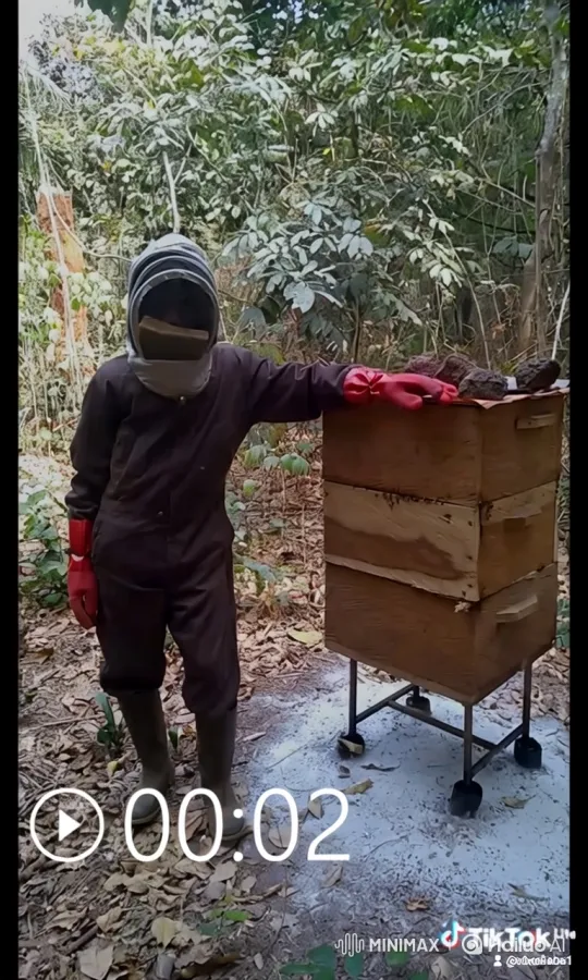 Bees Swarm Follow Beekeeper's Car in Forest – AI Generated Video | Hailuo AI