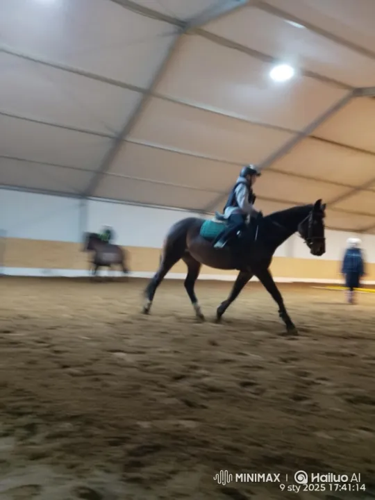 Rider and Horse Perform Graceful Jump in Indoor Arena – AI Generated Video | Hailuo AI