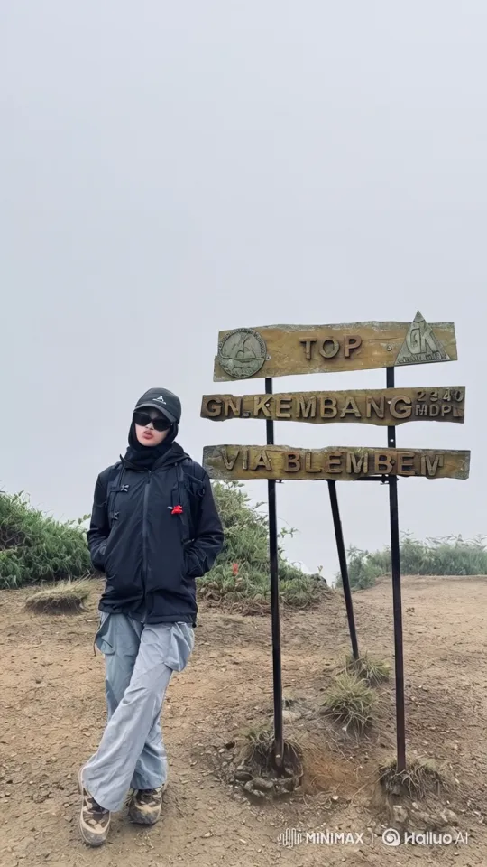 Hiker on Summit: Earth's Majestic Panorama from Space – AI Generated Video | Hailuo AI