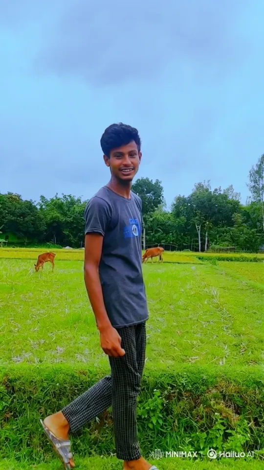 Young Man in Field Gets into Rolls-Royce and Drives Away – AI Generated Video | Hailuo AI
