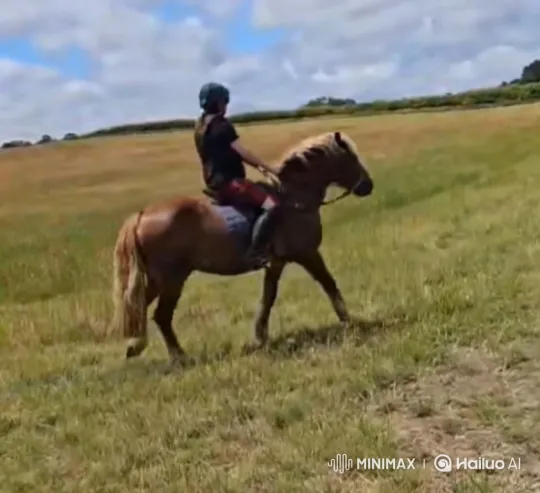 Rider and Horse Transition from Walk to Bucking to Gallop – AI Generated Video | Hailuo AI