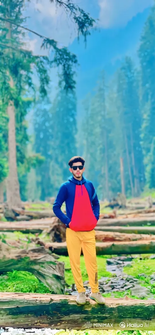 Peaceful Woodland Encounter: Couple Shares Silent Moment – AI Generated Video | Hailuo AI