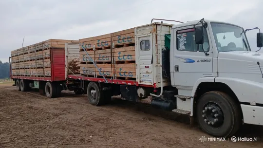 Truck Transformed into Mountain of Oranges – AI Generated Video | Hailuo AI
