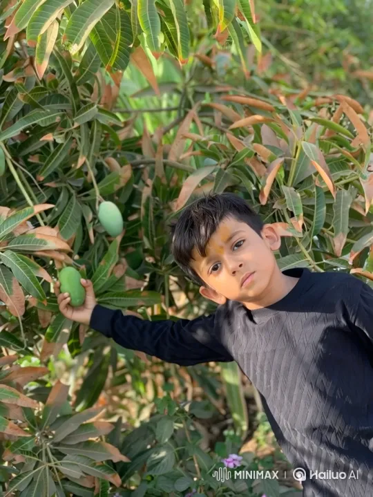 Boy Contemplates Mango on Tree Amidst Gentle Breeze – AI Generated Video | Hailuo AI