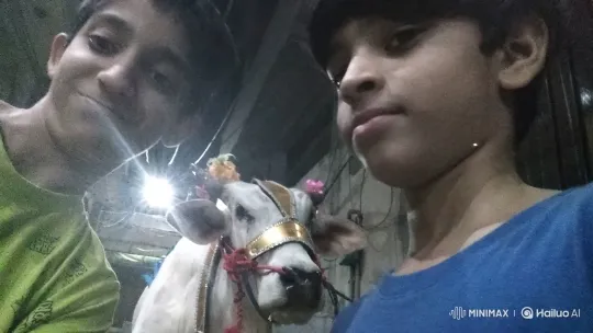 Boys, Decorated Cow, and Lamborghini Aventador Moments – AI Generated Video | Hailuo AI