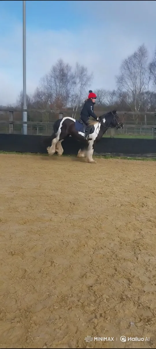 Rider and Piebald Horse Perform in Sand Arena – AI Generated Video | Hailuo AI
