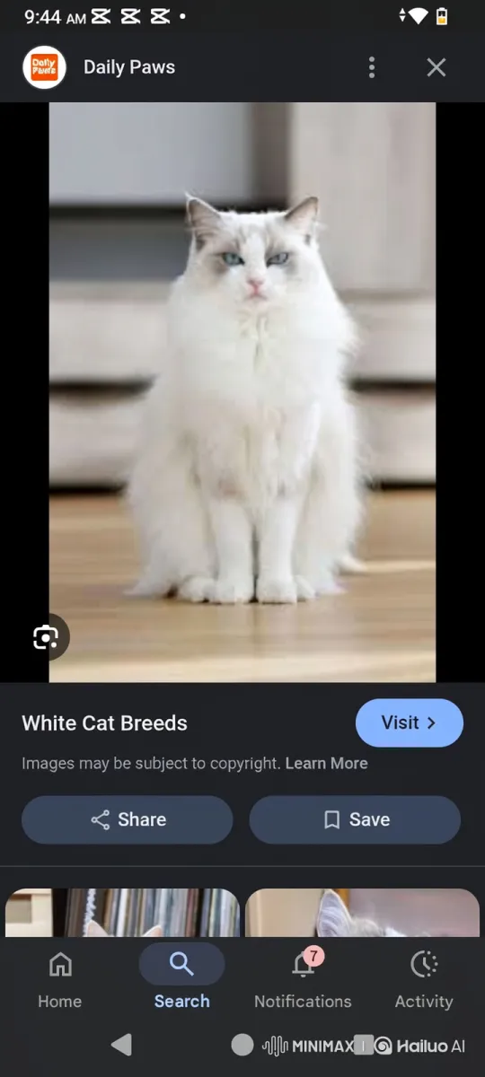 Cat Transforms into a Majestic Wolf After Eating a Glowing Apple – AI Generated Video | Hailuo AI