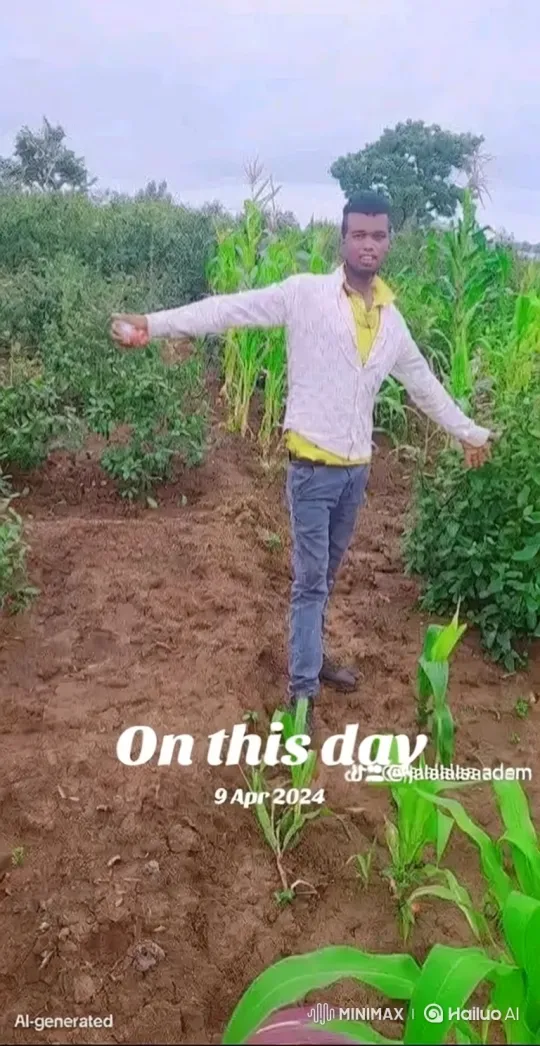 Proud Farmer Surveying His Flourishing Cornfield – AI Generated Video | Hailuo AI