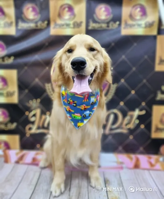 Close-up of a Happy Golden Retriever in a Blue Bandana – AI Generated Video | Hailuo AI