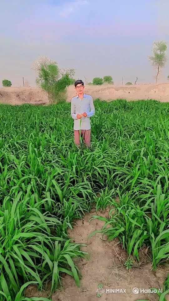 Young Man Examines Crop, Approaches Parked Car – AI Generated Video | Hailuo AI