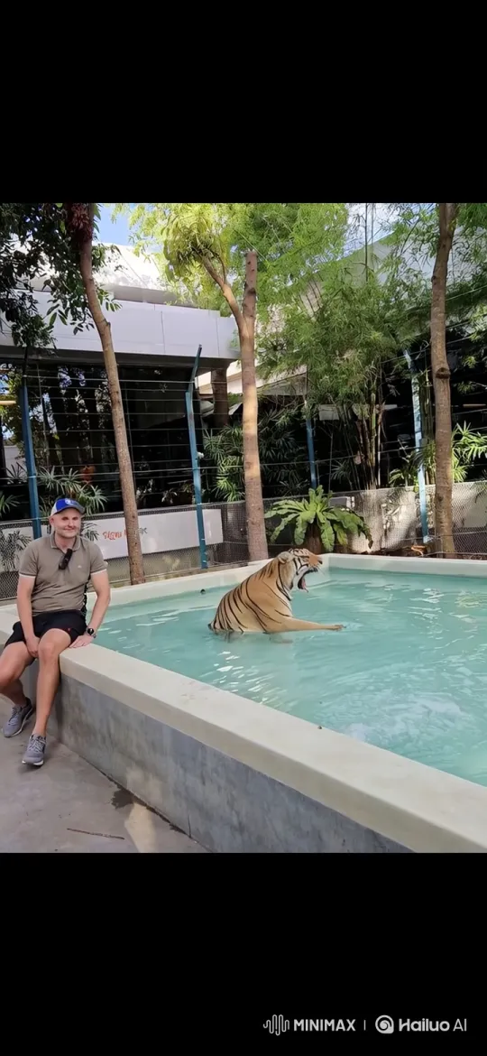 Man and Tiger Bond in Serene Pool Encounter – AI Generated Video | Hailuo AI