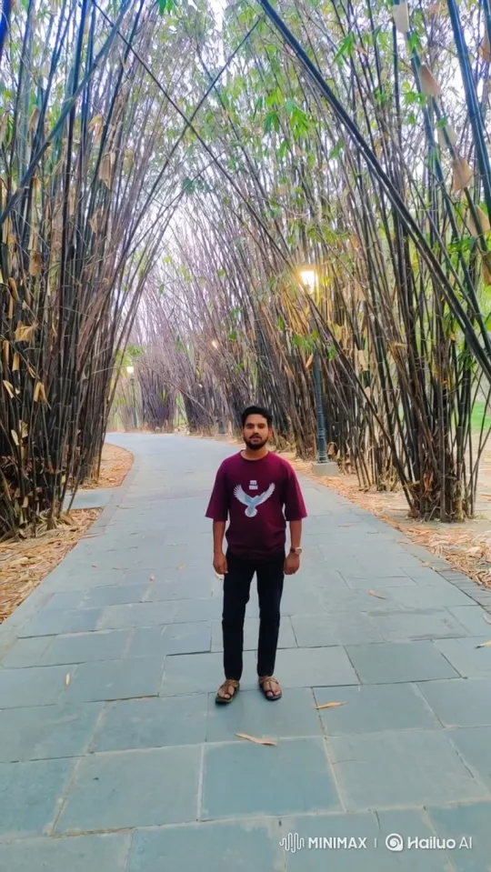 Indian Prime Minister Narendra Modi's handshake with a man in a bamboo grove. – AI Generated Video | Hailuo AI