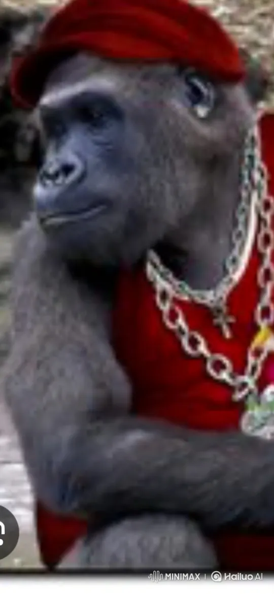 Gorilla on the Moon With Beer and Rifle – AI Generated Video | Hailuo AI