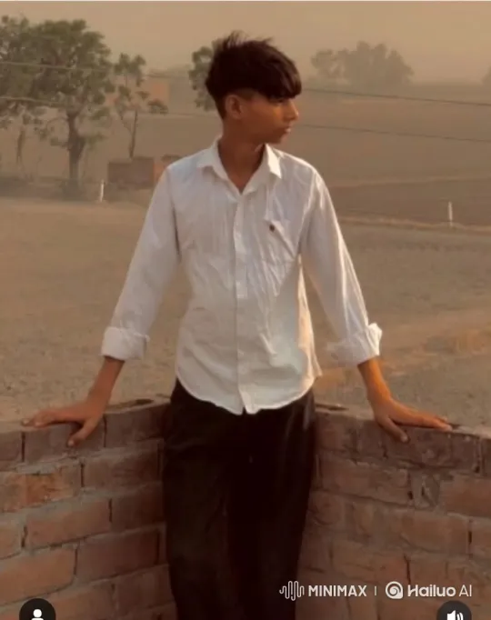Young Man Meets Prominent Political Figure in Rural Dusk – AI Generated Video | Hailuo AI