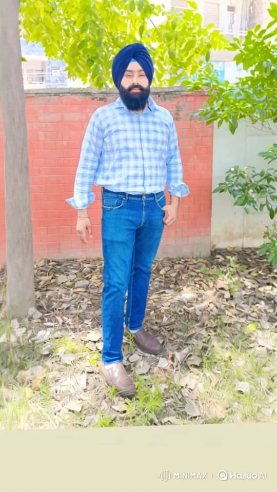 Man in Turban Meets Politician, Shares Friendly Handshake – AI Generated Video | Hailuo AI