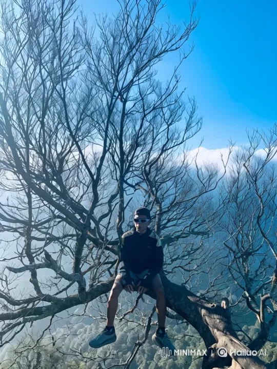 From Mountain Peak to Earth's Orbit: A Journey of Perspective – AI Generated Video | Hailuo AI