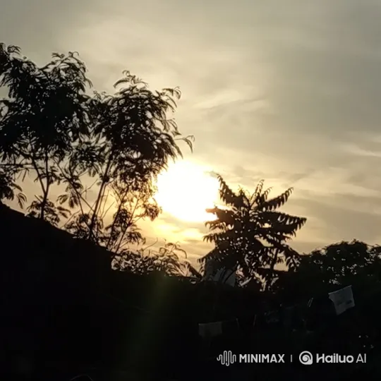 Sunset Over Silhouetted Trees with Gentle Motion – AI Generated Video | Hailuo AI
