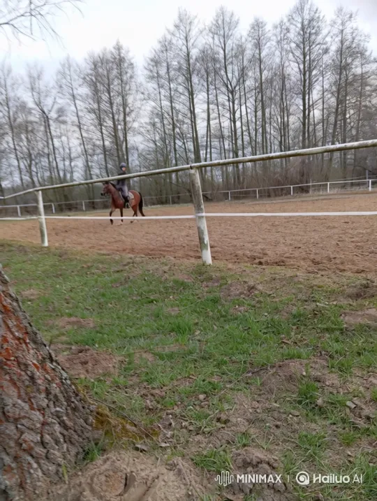 Rider and Horse Perform Jump and Buck in Arena – AI Generated Video | Hailuo AI