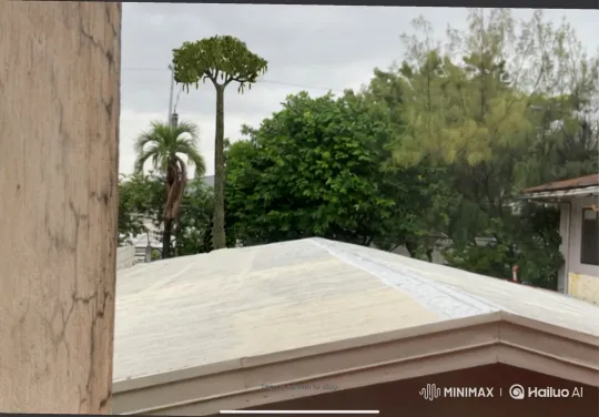 Wind-Animated Trees and Camouflaged Cell Tower – AI Generated Video | Hailuo AI