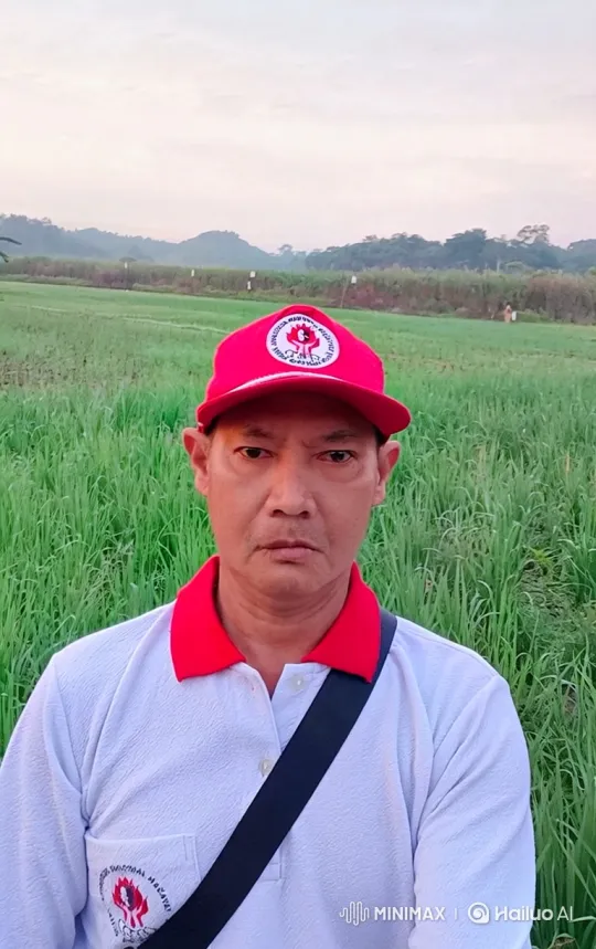 Asian Man Walking Through Peaceful Rice Paddy – AI Generated Video | Hailuo AI