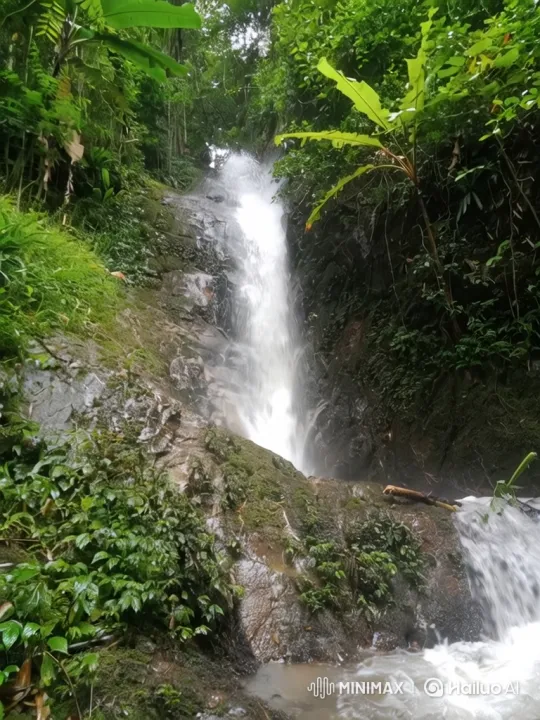 Jungle Waterfall Panorama with Complex Camera Movement – AI Generated Video | Hailuo AI