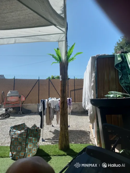 Backyard View Transformed by Tsunami Destruction – AI Generated Video | Hailuo AI