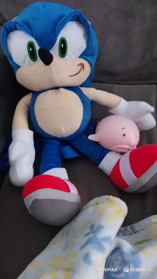 Sonic Plush and Blobfish Enjoy a Day at the Waterpark – AI Generated Video | Hailuo AI