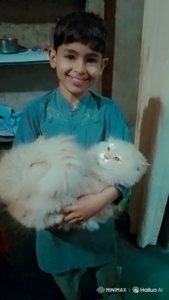 Young Boy and Cat Transition to Ferrari Night Drive – AI Generated Video | Hailuo AI
