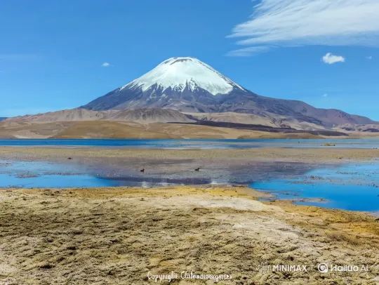 Volcano Landscape with Blooming Flower and Turtledoves – AI Generated Video | Hailuo AI