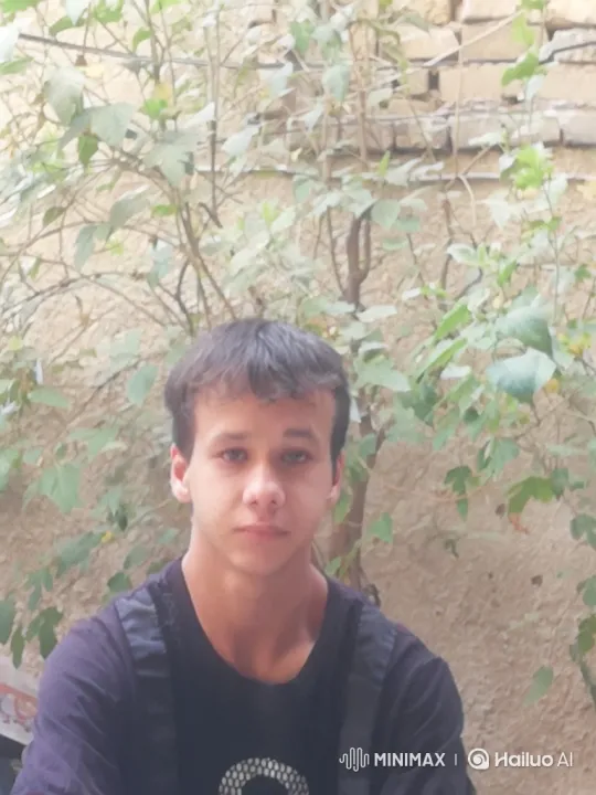 Young Saif's Poetic Encounter and Defensive Stand Against Wolves – AI Generated Video | Hailuo AI