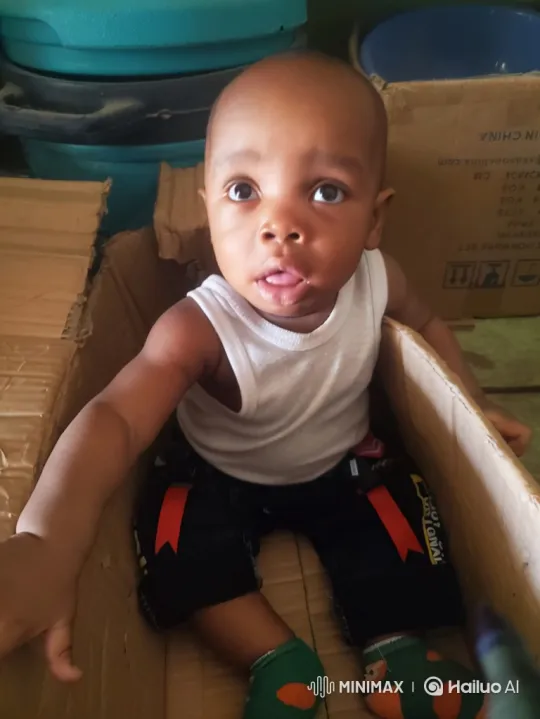 Baby Rescued by Gorilla in Smoke-Filled Forest – AI Generated Video | Hailuo AI