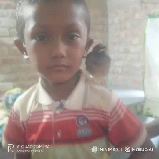 Child and Bird Share Peaceful Moment – AI Generated Video | Hailuo AI