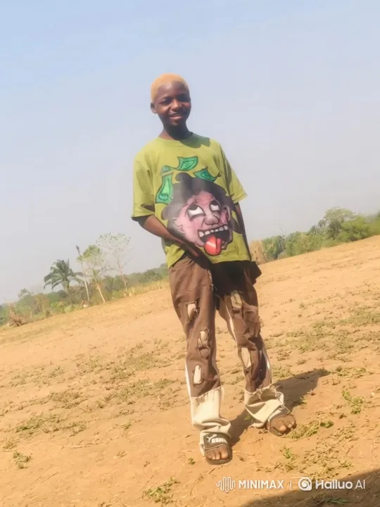 Young Man Escapes Police, Kicks President, and Flees on Jet – AI Generated Video | Hailuo AI