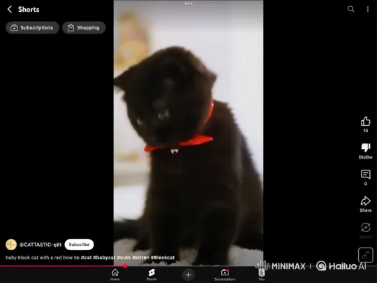 Black Kitten Performs Backflip on Soft Surface – AI Generated Video | Hailuo AI