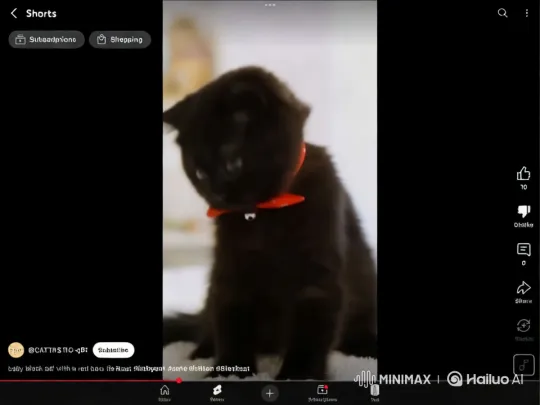 Baby Black Cat in Bow Tie Dunks Basketball – AI Generated Video | Hailuo AI