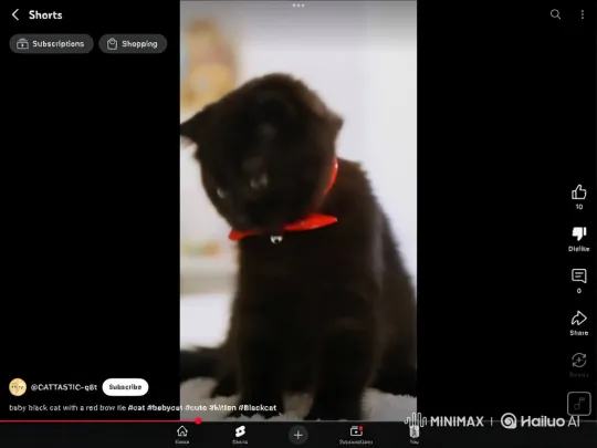 Two Kittens Engage in Playful Tussle on Blanket – AI Generated Video | Hailuo AI