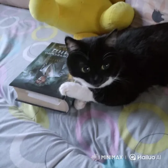 Cat Curiously Flips Through Book – AI Generated Video | Hailuo AI