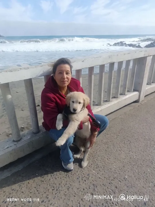 Tranquil Beach Moment: Woman and Puppy – AI Generated Video | Hailuo AI
