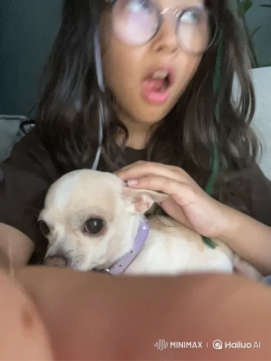 Surprise Bite from Chihuahua Leads to Owner's Distress – AI Generated Video | Hailuo AI