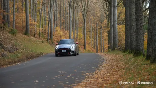 2025 Mini John Cooper Works Crashes into Trees – AI Generated Video | Hailuo AI