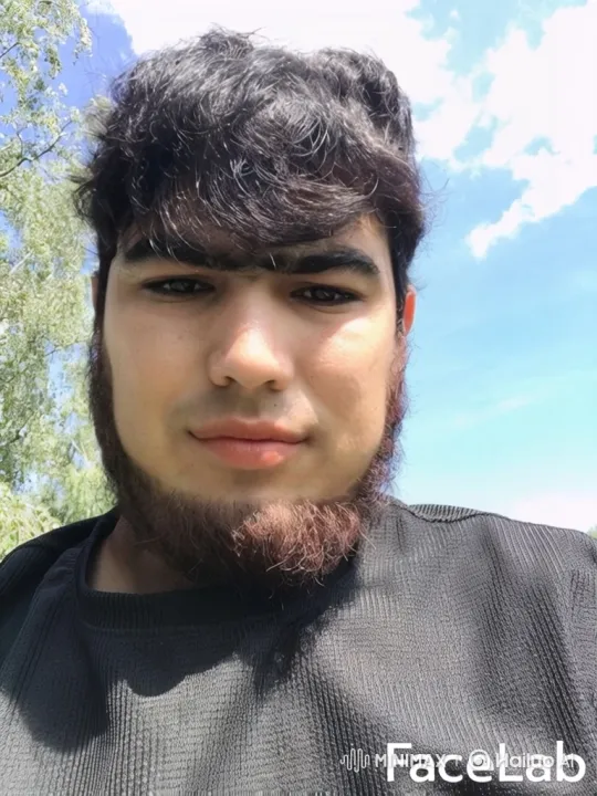 Young Man Walks Through Sunlit Forest Path – AI Generated Video | Hailuo AI