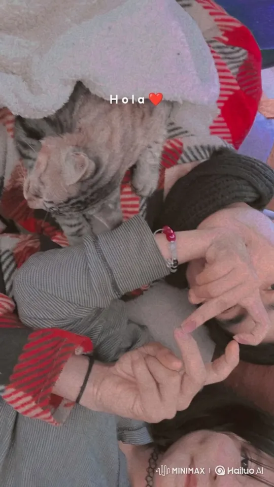 Family Moment Captured on Bed with Warm Light – AI Generated Video | Hailuo AI