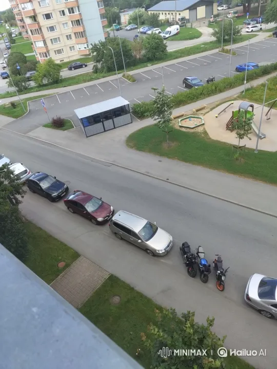 Elderly Woman Rides Rhinoceros Down Suburban Street – AI Generated Video | Hailuo AI