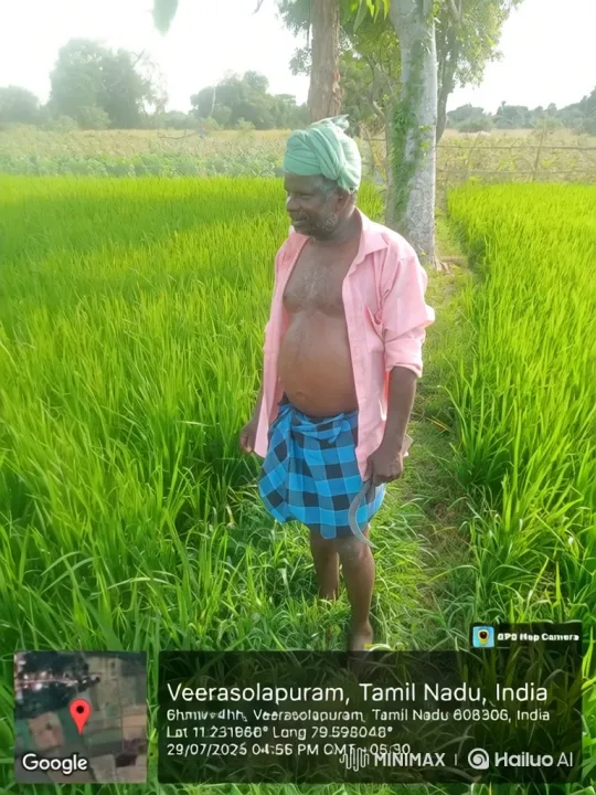 Elderly Farmer Reflects on Life in Rice Paddy – AI Generated Video | Hailuo AI