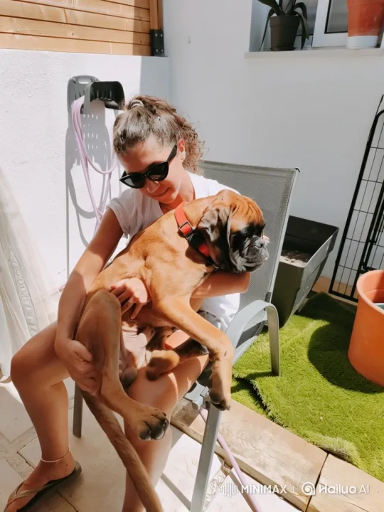 Young Woman and Her Boxer on Balcony in Serene Moment – AI Generated Video | Hailuo AI
