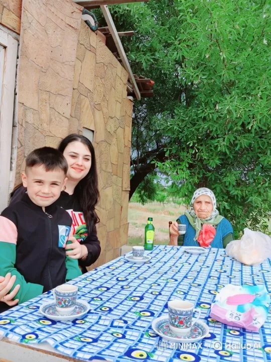 Family Enjoying Summer Day Disrupted by Police Arrest – AI Generated Video | Hailuo AI