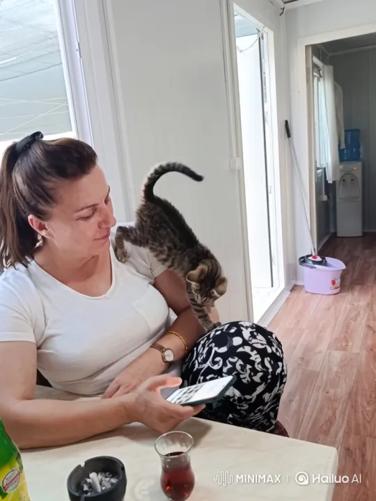 Woman's Tranquil Day at Beach with Kitten – AI Generated Video | Hailuo AI