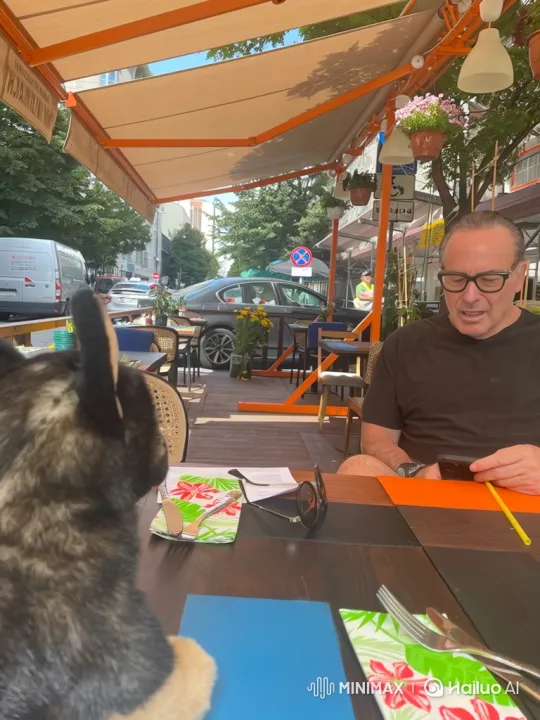 Man Surprised by Playful Dog's Leap at Outdoor Patio – AI Generated Video | Hailuo AI