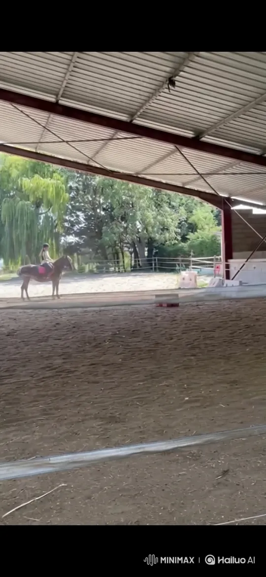 Rider and Horse Perform a Graceful Rear in the Arena – AI Generated Video | Hailuo AI