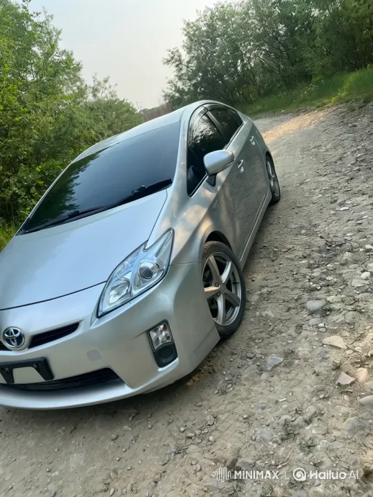 Mystery Person Installs License Plate, Drives Off in Car – AI Generated Video | Hailuo AI